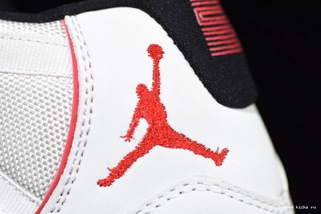 Tint Jordan Platinum 11 Air Retro 378037-016 0629